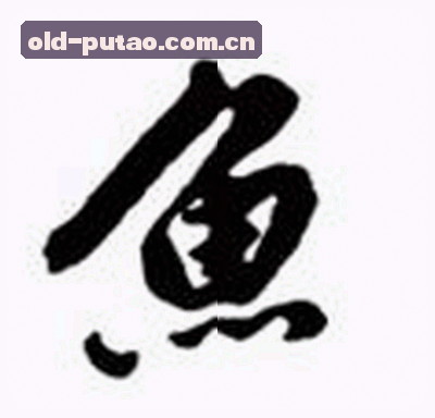 刘洋